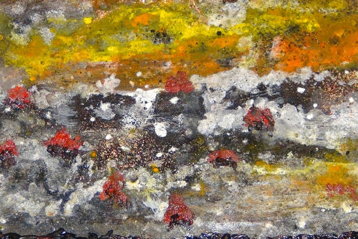 Nitin Mukul CRATER 2013 Single-channel video Approx: 18 minutes Score composed and performed by Leyna Maria Papach