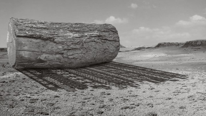 Movie of a log rolling with the shadow of a city skyline projected in front of it.