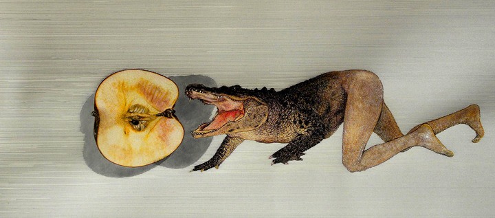 Combination of an alligator and a human eating half of an apple.