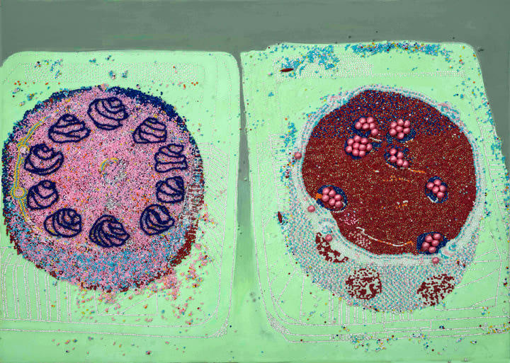Saba Khan Cakes in Plastic Boxes, 2015 Crystals, beads and acrylic on canvas 22 x 29.94 in