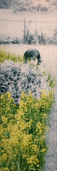 Farida Batool SOHNI DHARTI 1 2009 Lenticular print 59.5 x 20 in.