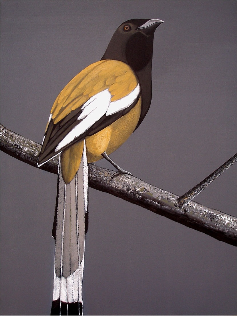 Rajan Krishnan Pastoral Bird 2 2011 Acrylic on canvas 48 x 36 in.
