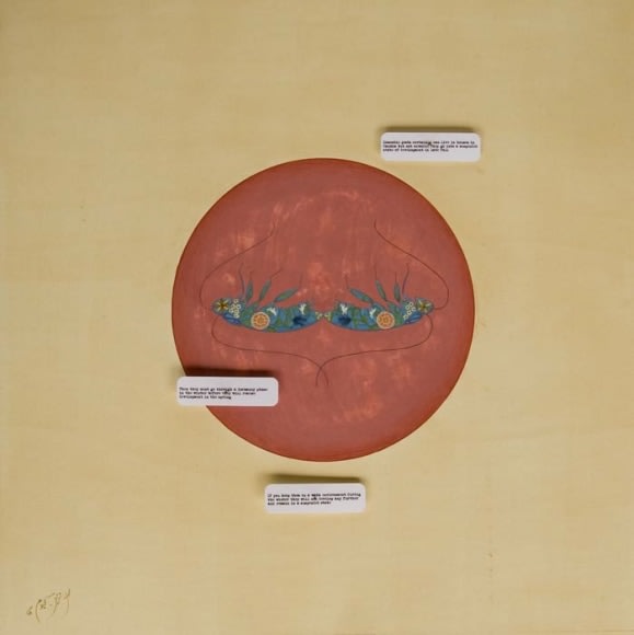 Tazeen Qayyum AVOID EXTREME COLD 2008 Gouache, entomology pins and labels on wasli 11 x 11 in.