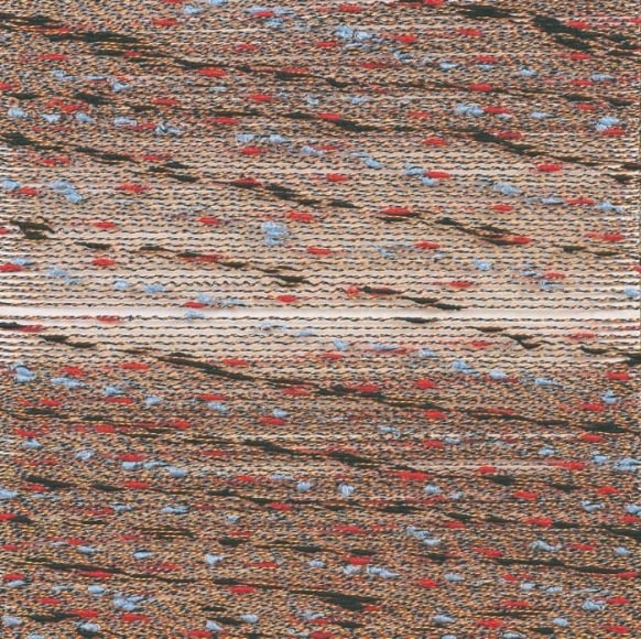 Shobha Broota AERIAL VIEW IV 2007 Paper on canvas 10 x 10 in.