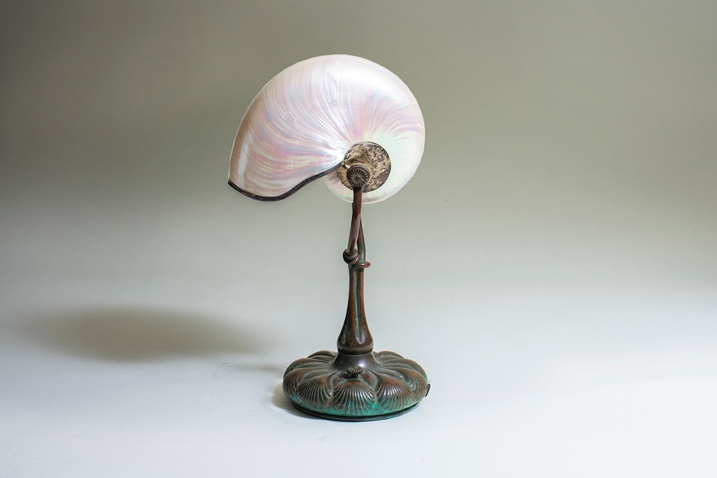 Rare Nautilus Lamp