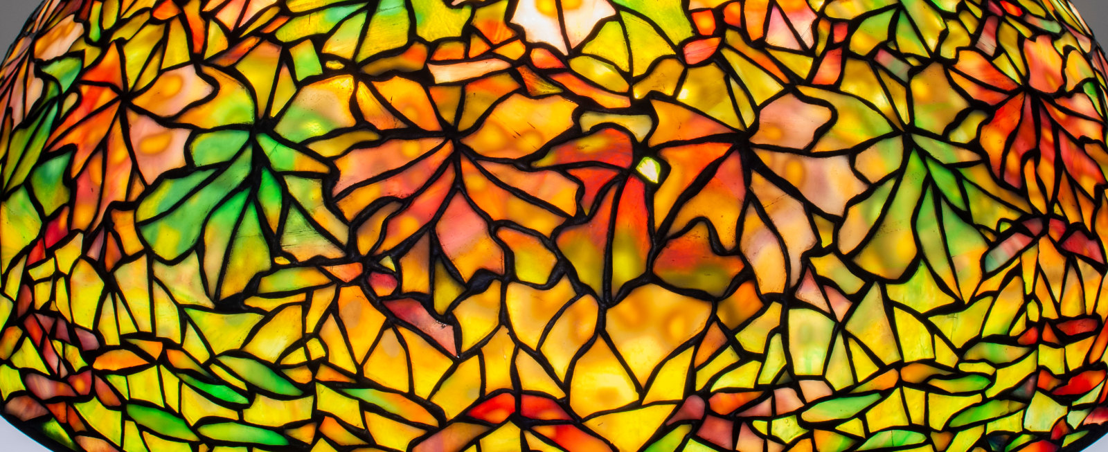 a detail shot of a leaded glass shade for an authentic tiffany lamp designed by clara driscoll for Tiffany Studios, depicting five-pointed oak leaves in leaded tiffany glass, each leaf formed by multiple pieces of hand-cut tiffany glass in various autumn foliage colors, each leaf in a different type and color of glass ranging from red, orange, and green