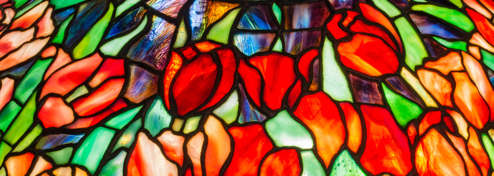 a close up detail of a leaded glass tulip shade for a tiffany lamp, the tulips formed by deeply saturated red tiffany glass streaked with white, with green petals, against a background glass in deep purple