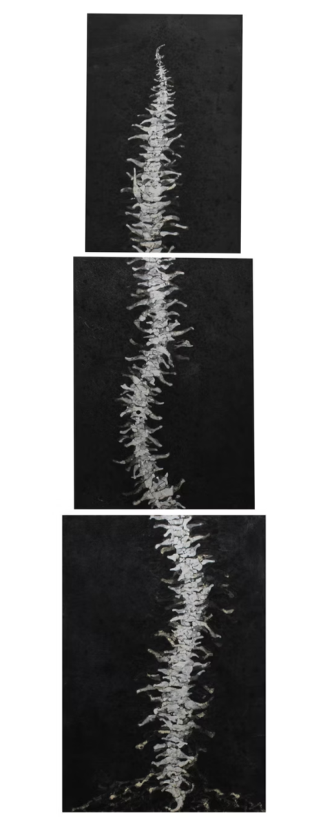 Sajal&nbsp;Sarkar, Reptile, 2023