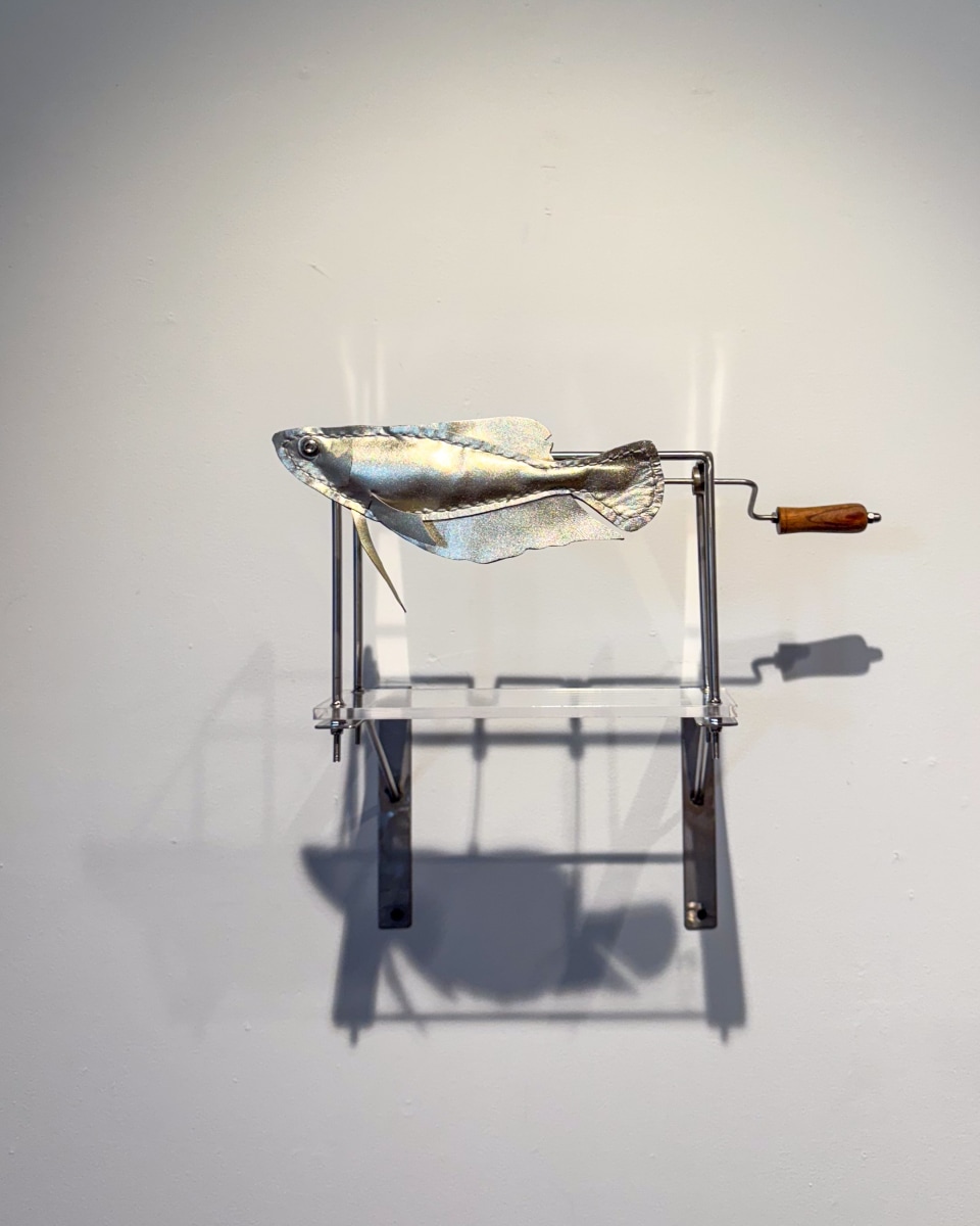 Promotesh Das Pulak, Extinct Fish 4 2025, Steel, leather, acrylic, glass, 14h x 14w x 12d in