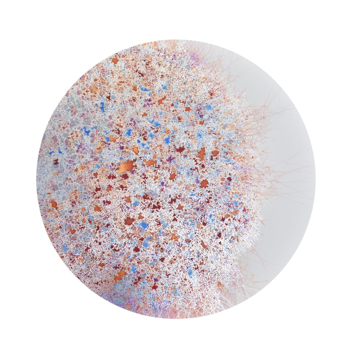 Dhara Mehrotra, Laminae I, 2025