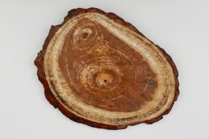 Tallur L.N. , Graft E, 2013