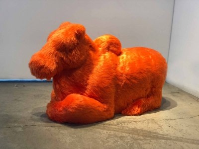 H.G. Arunkumar, Sitting Bull (Nandi-color), 2018