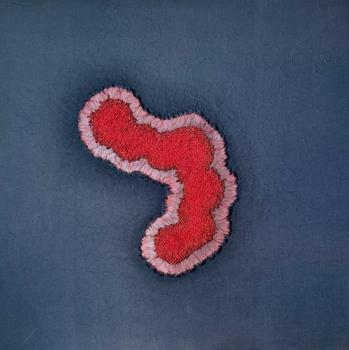 Pranati Panda Growing Within III, 2025