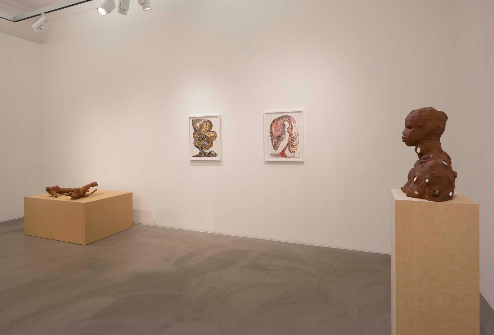 Wangechi Mutu Installation view 7