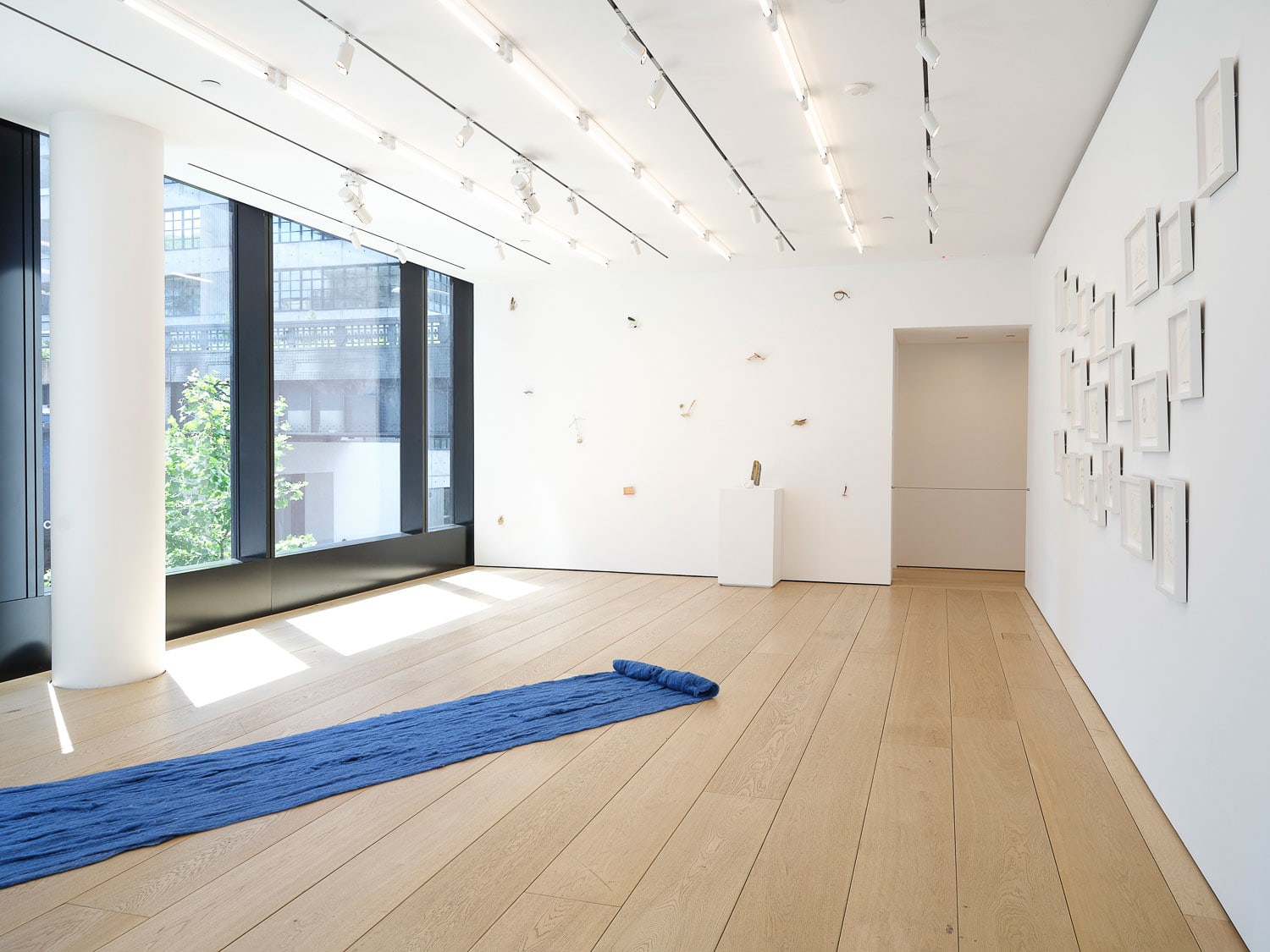 Cecilia Vicu&ntilde;a, Installation View, New York