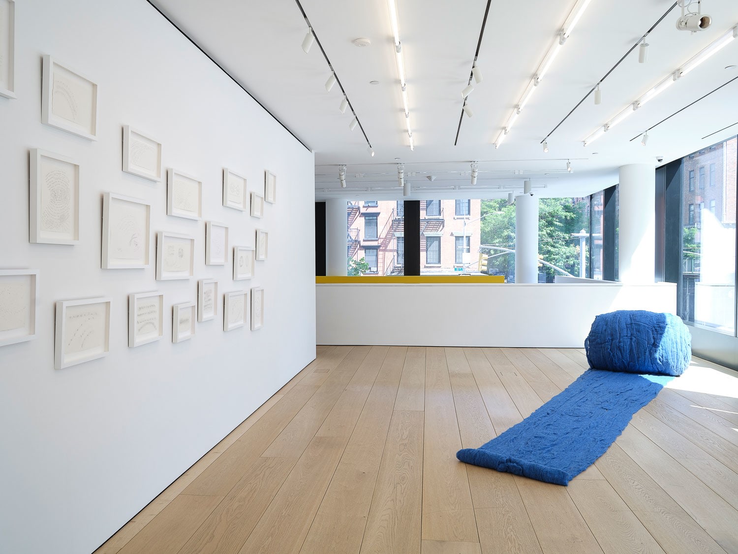 Cecilia Vicu&ntilde;a, Installation View, New York