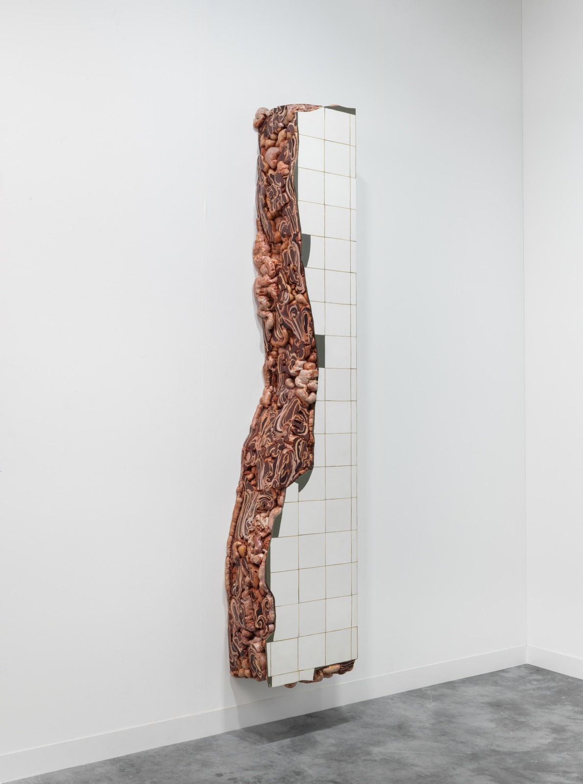 ADRIANA VAREJ&Atilde;O, Ruina de Charque - Vigario Geral (Vigario Geral Jerked-Beef Ruin), 2002