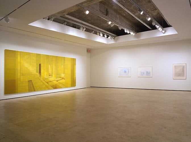 Adriana Varej&atilde;o installation view 3