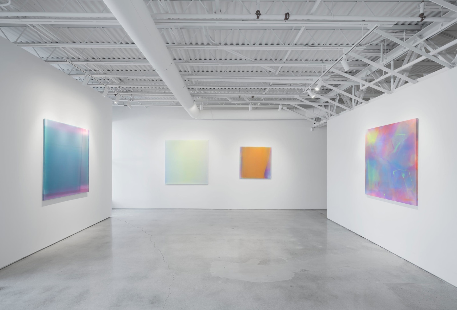 Kim Taek Sang: In Focus, Installation View, Palm Beach