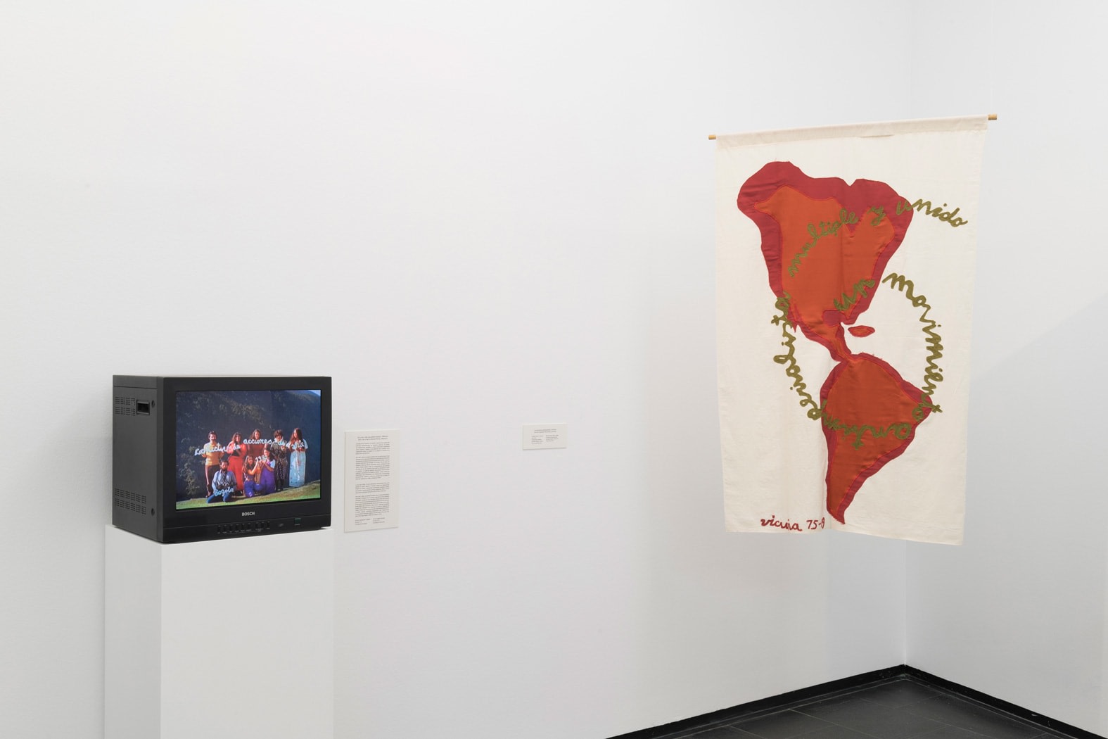 Cecilia Vicu&ntilde;a:&nbsp;Seehearing the Enlightened Failure, Installation view