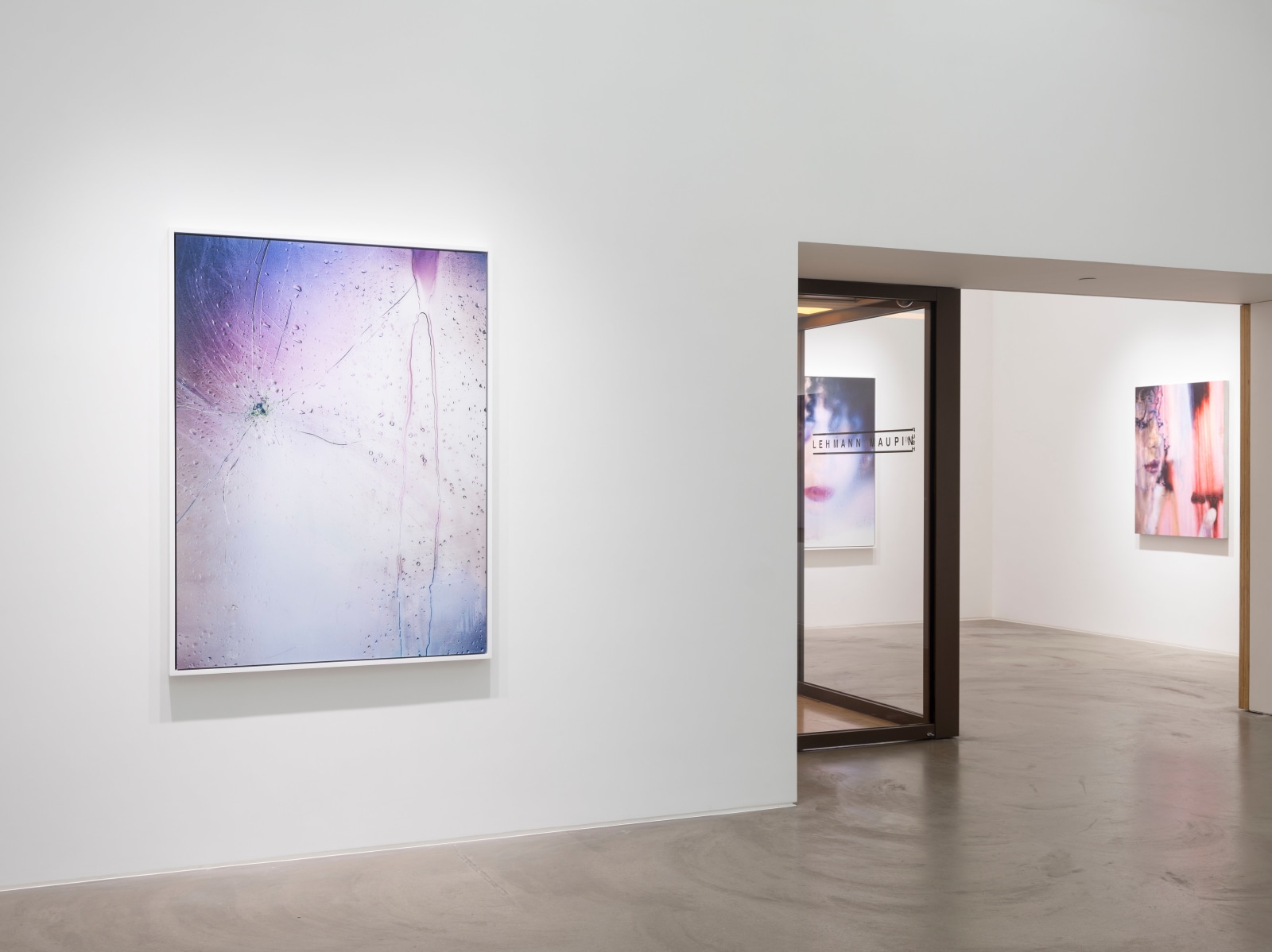 Marilyn Minter, Installation view, Lehmann Maupin, Hong Kong