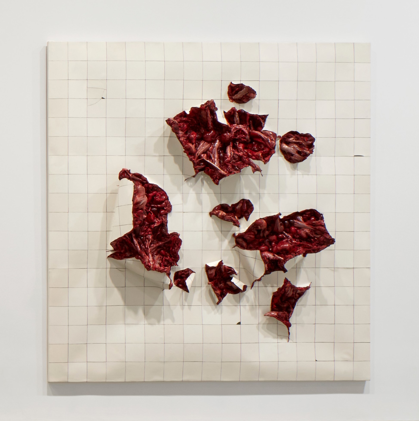 ADRIANA VAREJ&Atilde;O, Folds 2, 2003