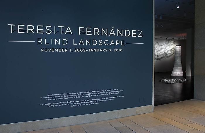 Teresita Fern&aacute;ndez Installation at the Blanton Museum of Art, 2009