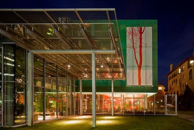  STEFANO ARIENTI Ailanthus, installation view, 2012 Isabella Stewart Gardner Museum