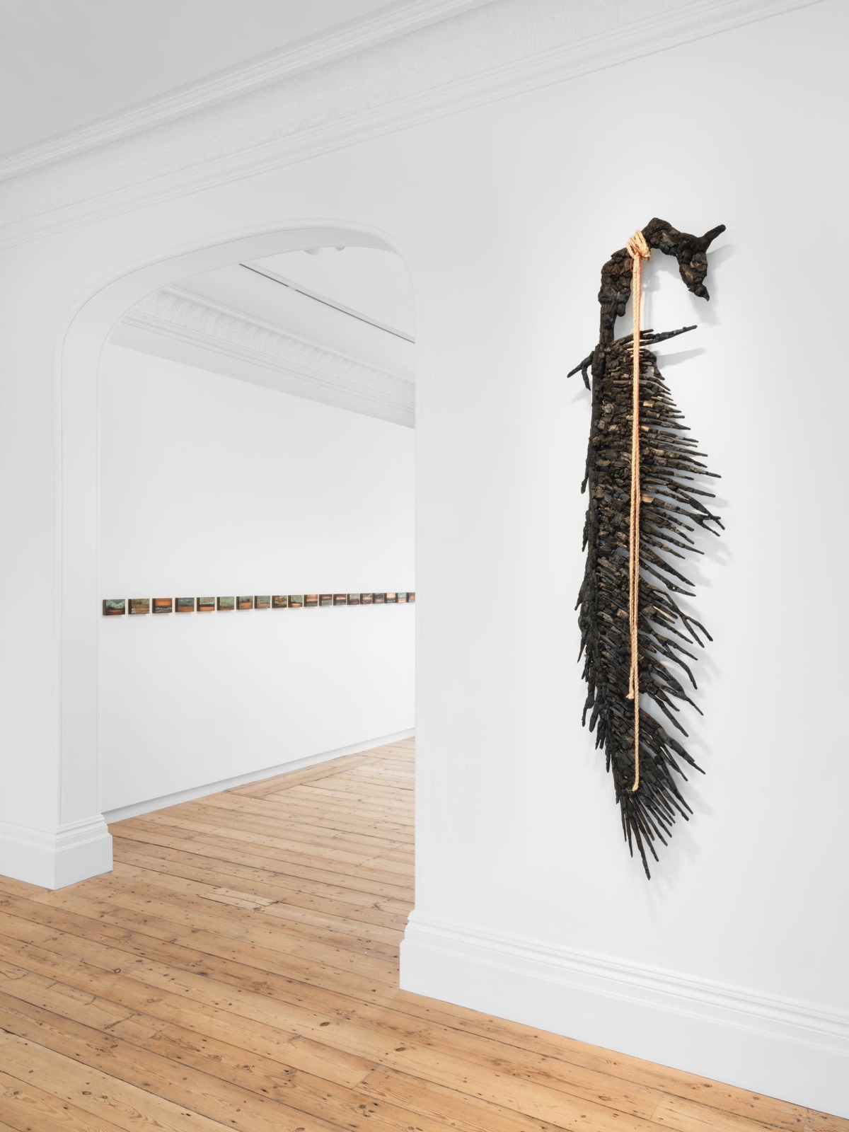 Teresita Fern&aacute;ndez: Caribbean Cosmos, Installation View