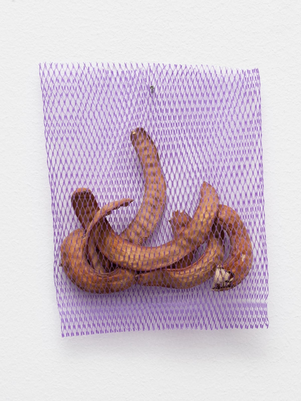 CECILIA VICU&Ntilde;A, Bolsita morada (Precarios), ca. 2000