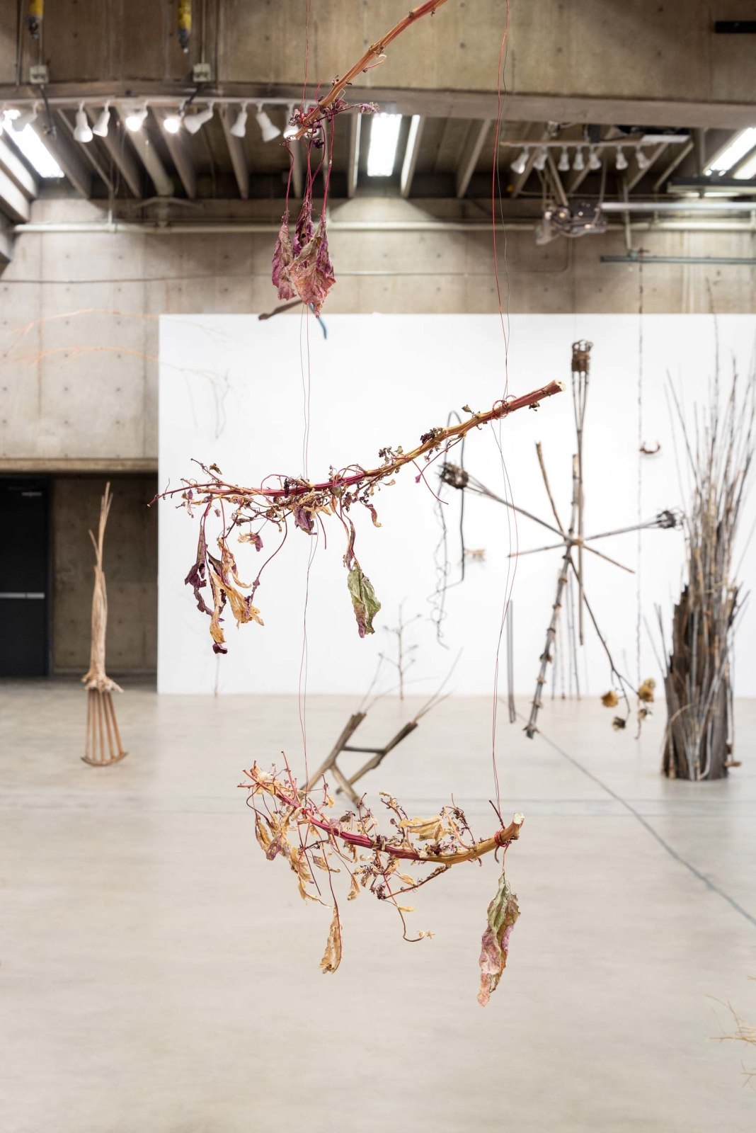 Cecilia Vicu&ntilde;a: Sonoran Quipu&nbsp;, Installation View