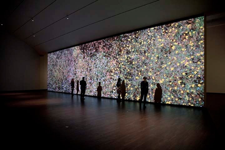  Installation view of Jennifer Steinkamp&#039;s &quot;Madame Curie&quot; at the Joslyn Art Museum, Omaha, NE, 2013