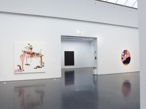 Installation view, MCA Chicago