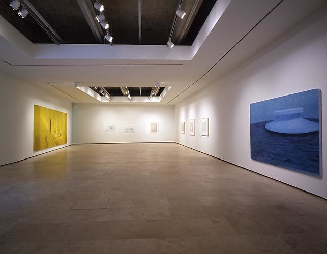 Adriana Varej&atilde;o installation view 1