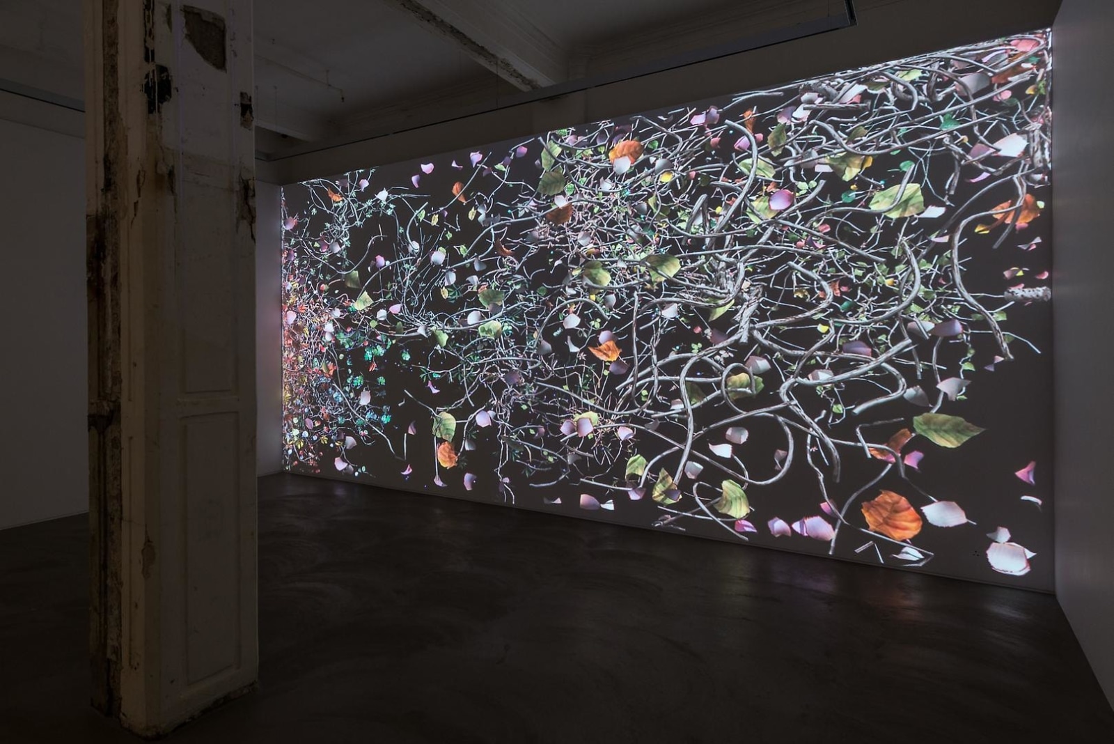 Jennifer Steinkamp: Diaspore Installation view 3