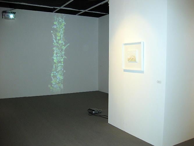 ShContemporary 2008