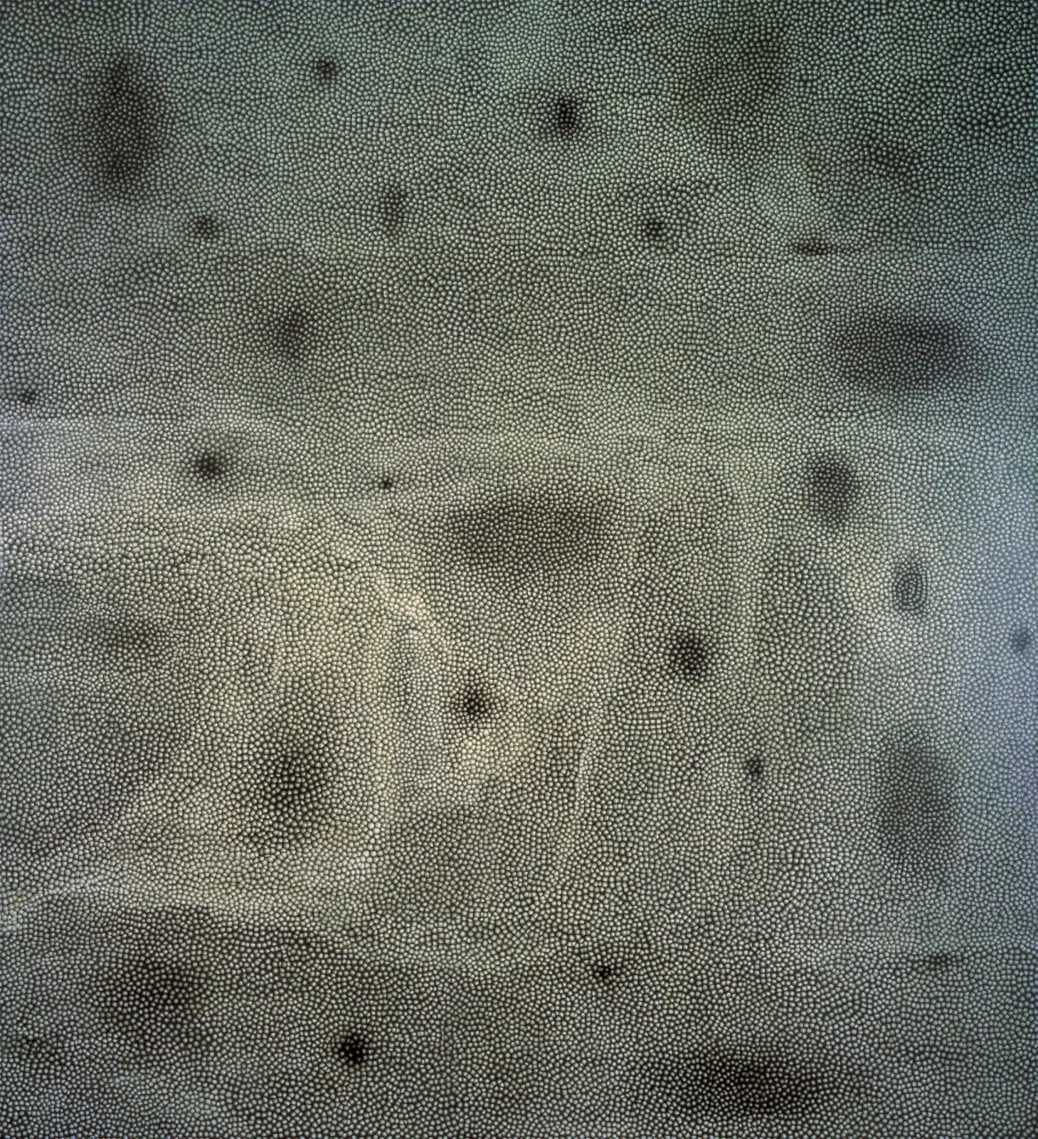 ROSS BLECKNER, Times &amp;amp; Communities, 1998