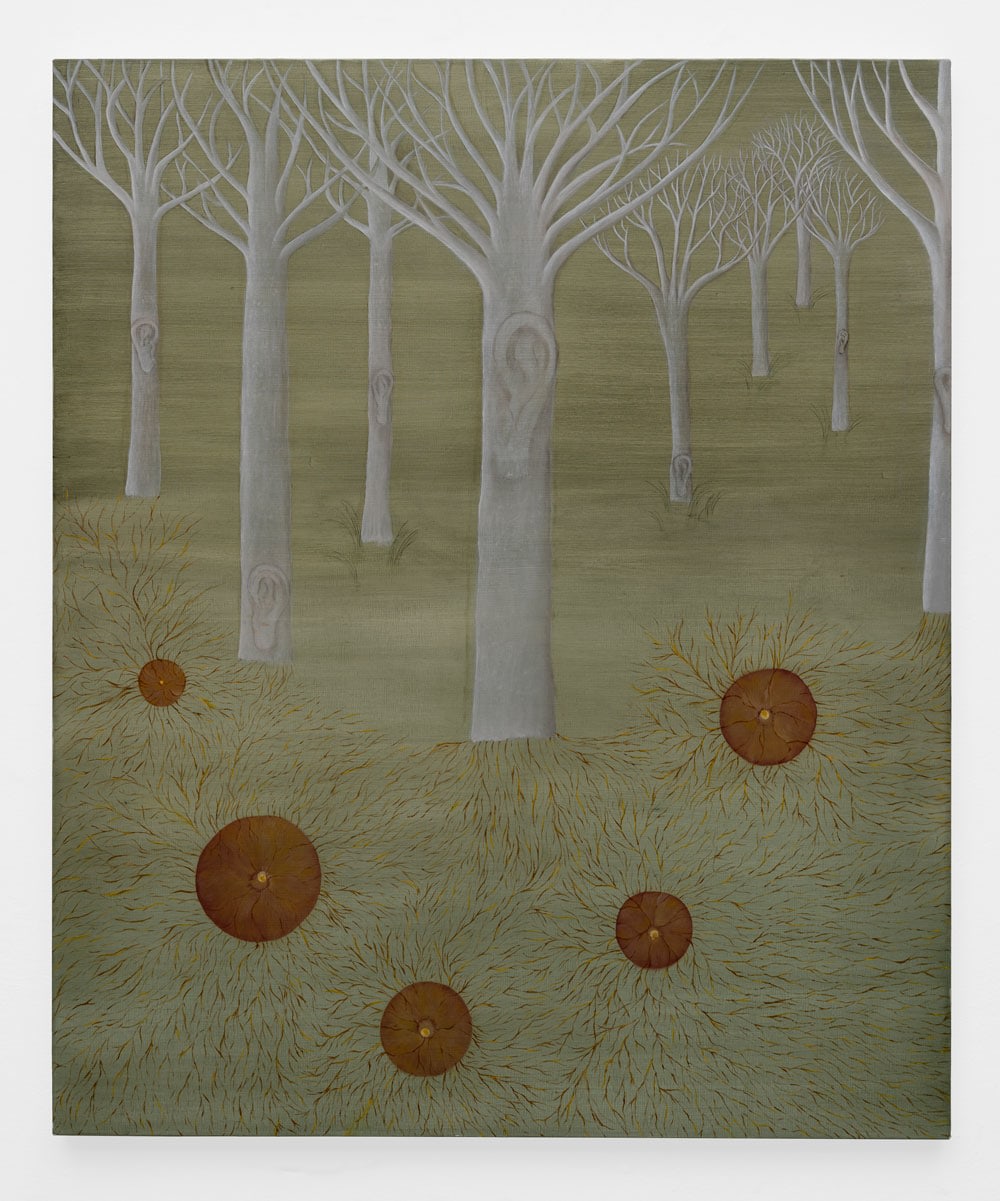 CECILIA VICU&Ntilde;A, Arbol Oido (Tree Ear), 2021