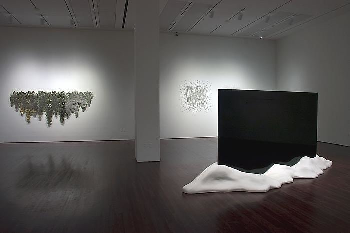 Teresita Fern&aacute;ndez Installation at the Blanton Museum of Art, 2009