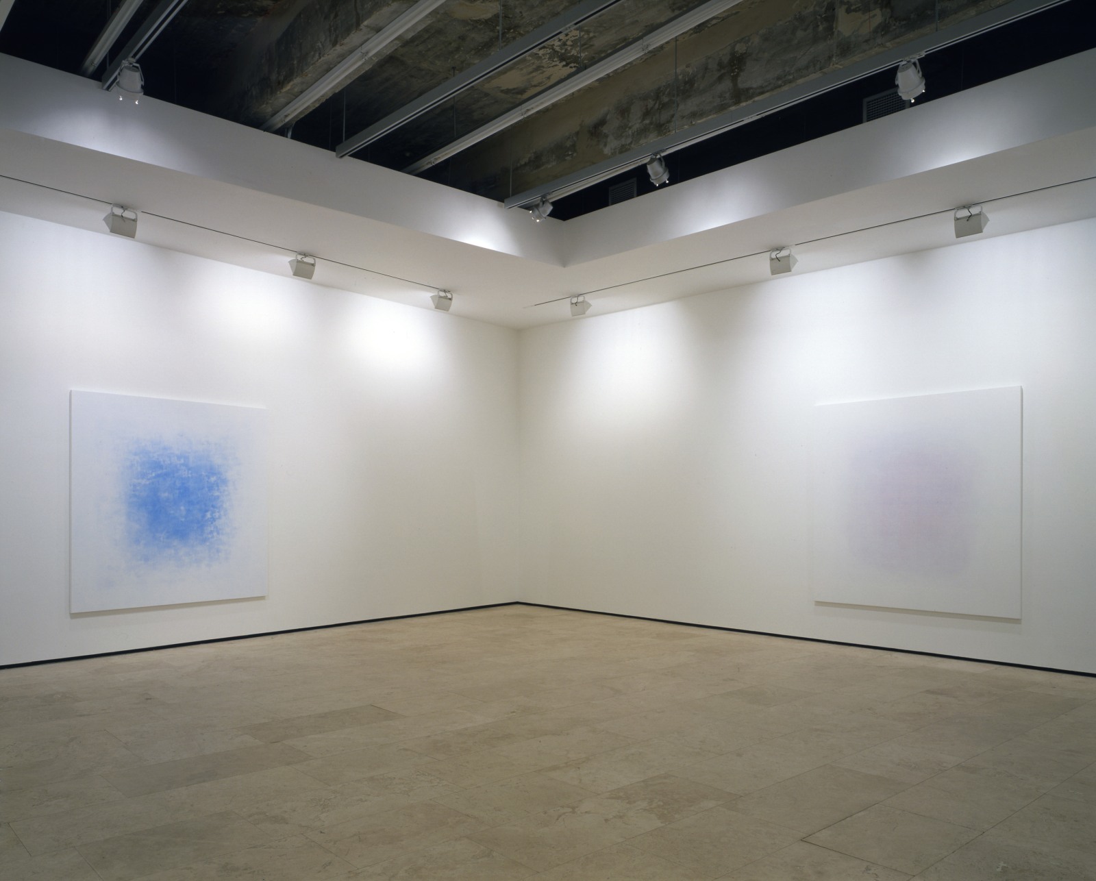 SHIRAZEH HOUSHIARY Installation View 3.