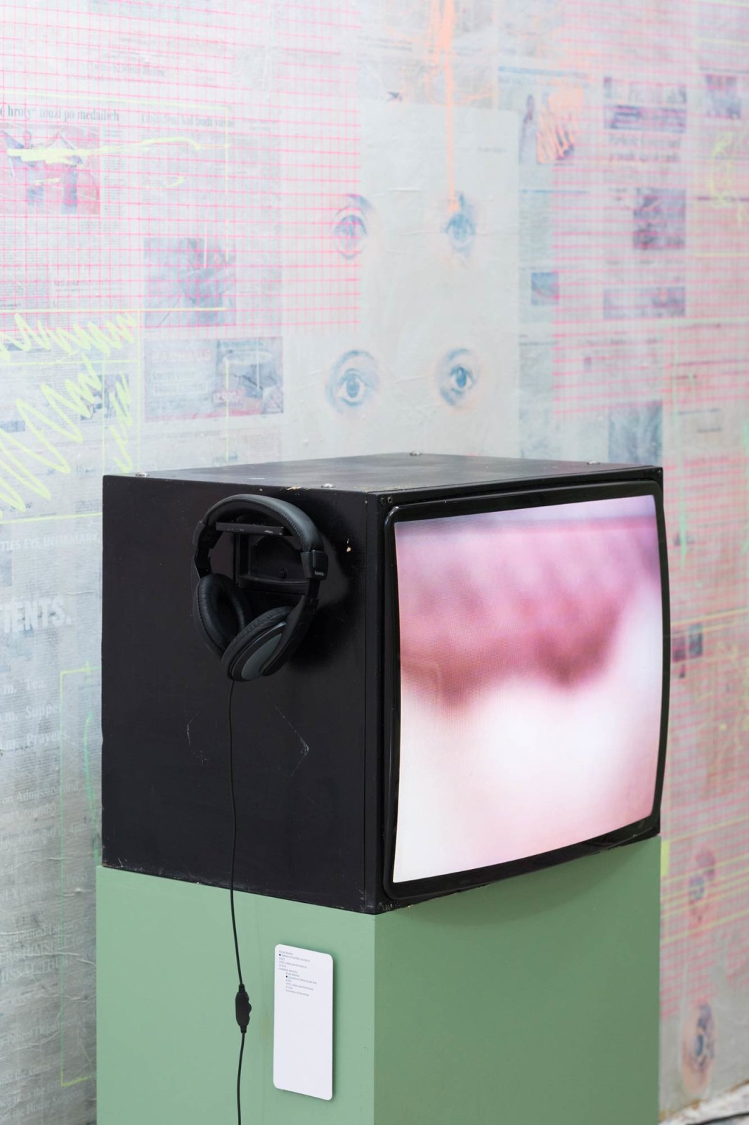 Mandy El-Sayegh:&nbsp;Four Species, Installation View