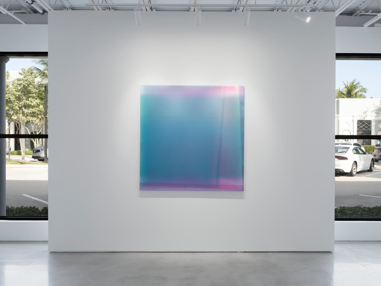 Kim Taek Sang: In Focus, Installation View, Palm Beach