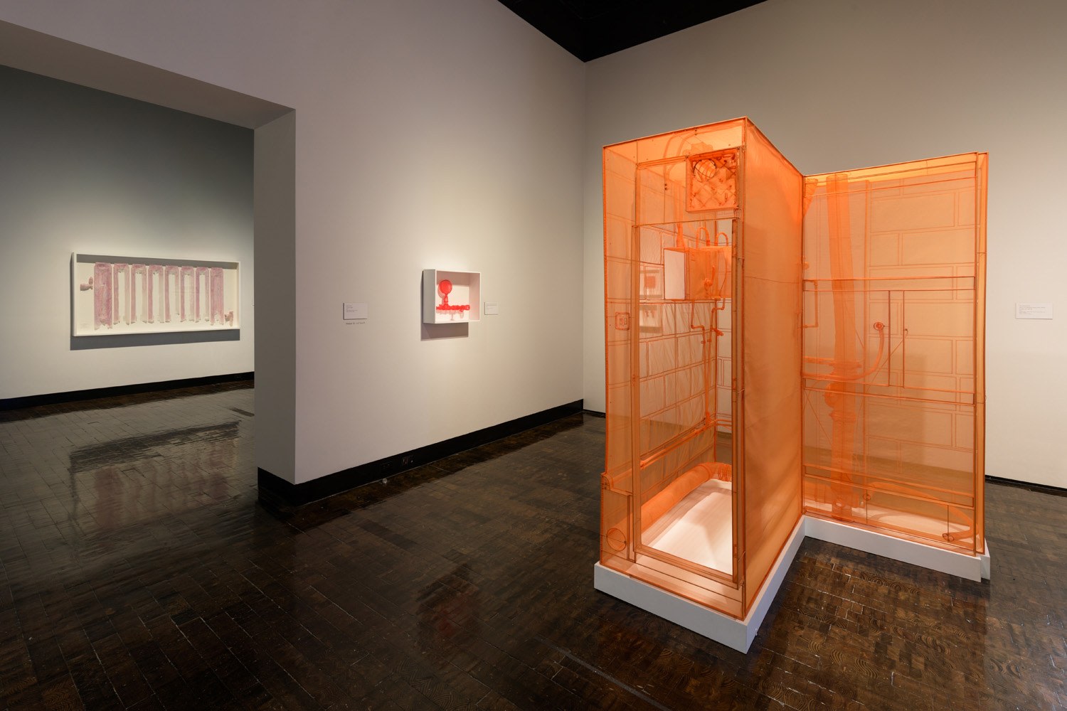 DO HO SUH, Installation view, Frist Art Museum,&nbsp;Do Ho Suh: Specimens, Oct. 12, 2018 - Jan. 6, 2019