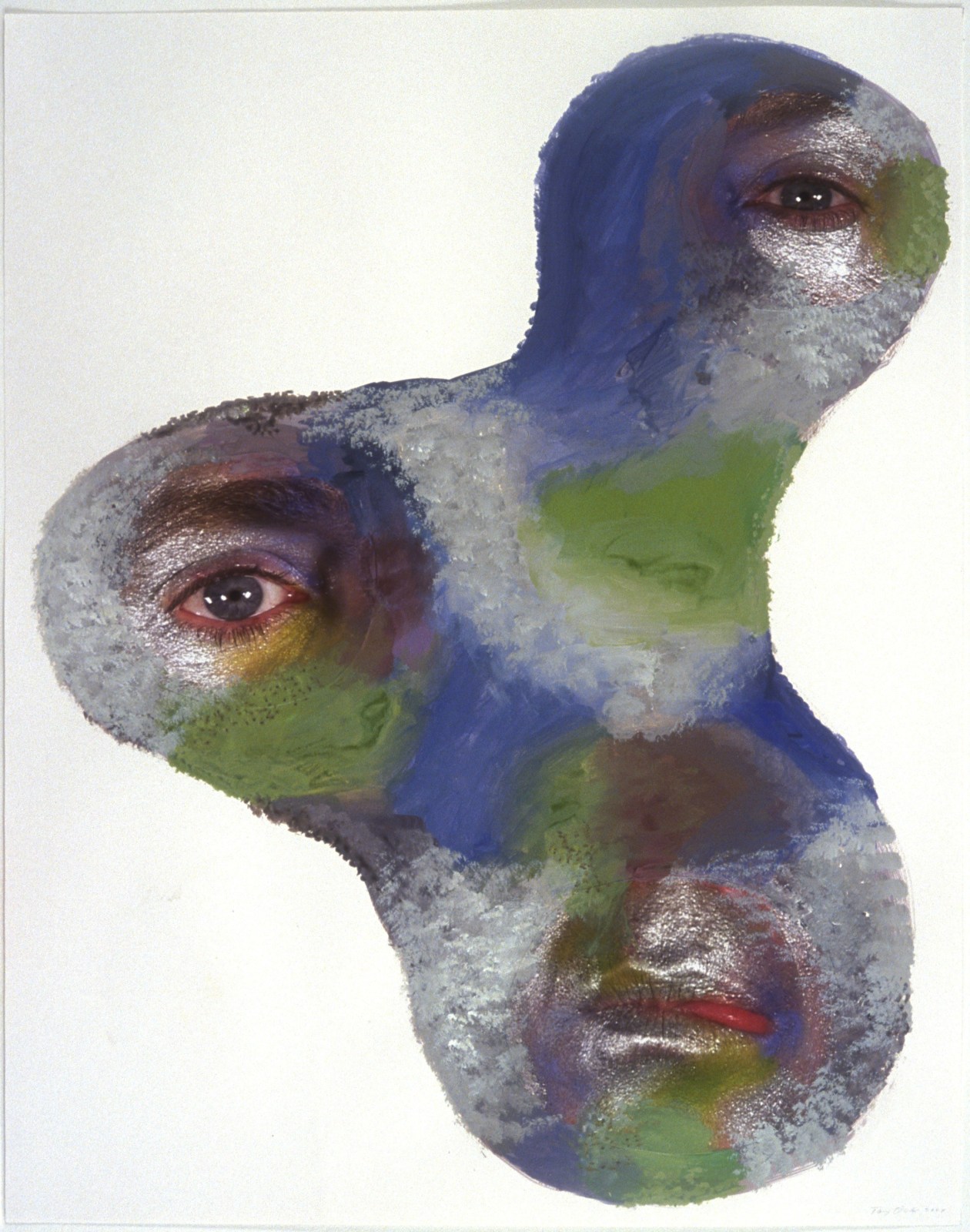 TONY OURSLER, Silv, 2004