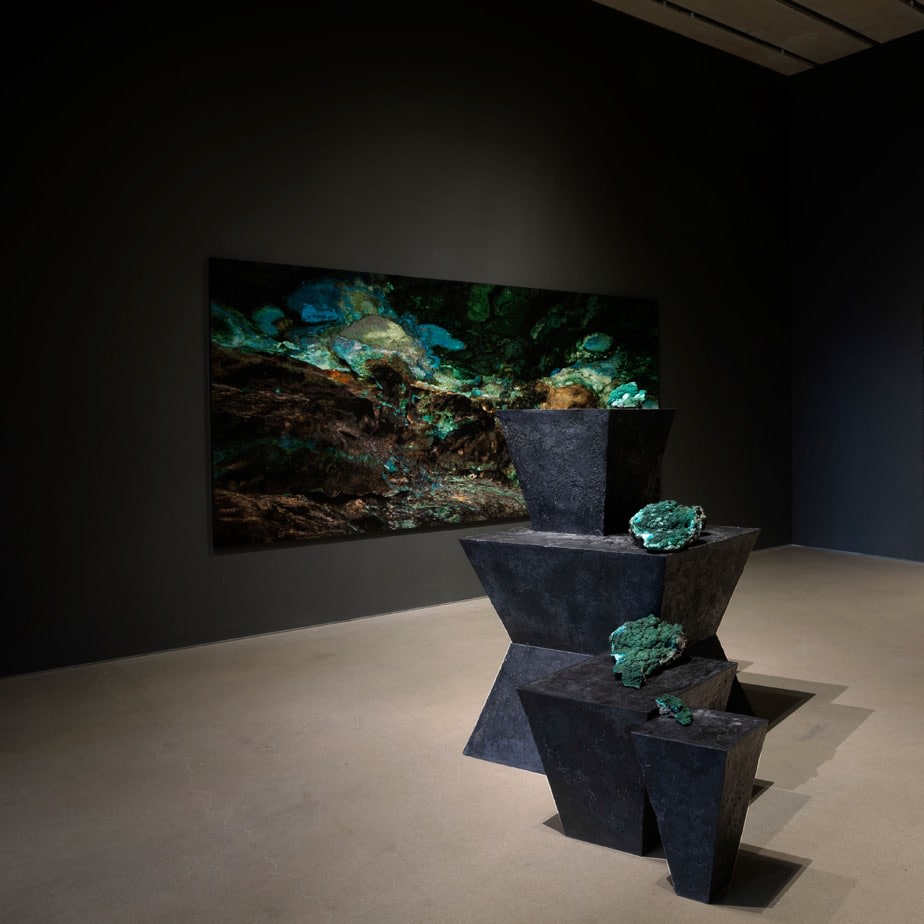 Installation view of Teresita Fern&aacute;ndez:&nbsp;Elemental, P&eacute;rez Art Museum Miami, 2019