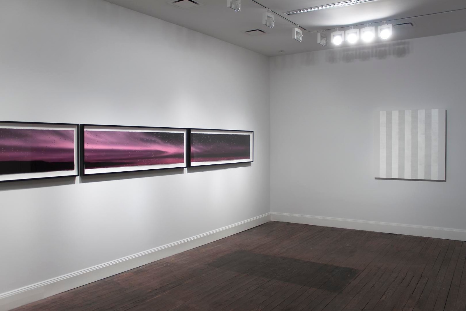 Summer Group Show: Mary Corse, Teresita Fern&aacute;ndez, Maya Lin Installation view 4