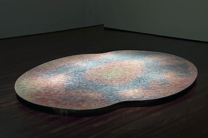 Teresita Fern&aacute;ndez Installation at the Blanton Museum of Art, 2009