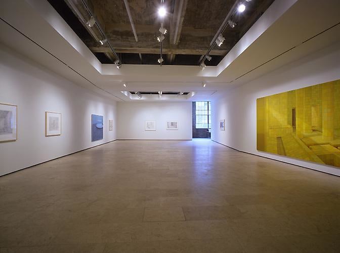 Adriana Varej&atilde;o installation view 2