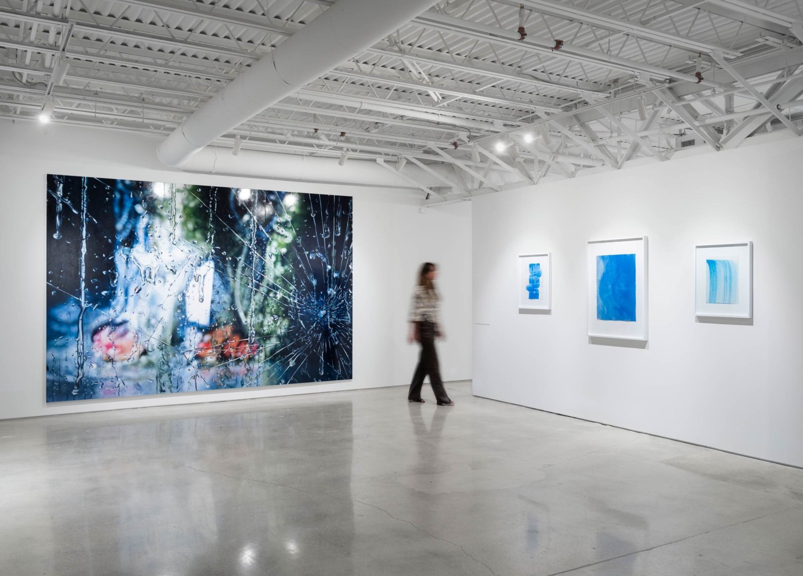 CURRENTS:&nbsp;Heidi Bucher, Dominic Chambers, Teresita Fern&aacute;ndez, Liza Lou, Marilyn Minter, Catherine Opie, Calida Rawles, and Robin Rhode, Installation view