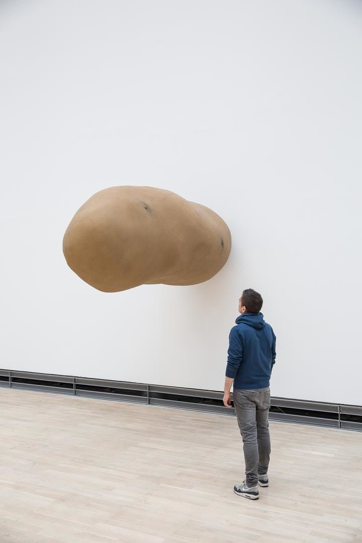  Installation view, Erwin Wurm.&nbsp;Fichte